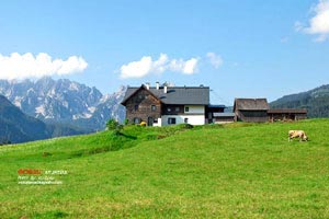 牟尼沟风景区怎么样？ 九寨沟到牟尼沟多远？